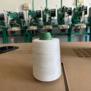 604 Special Sewing Thread for Gloves, 2-Ply Thick Thread, Household Sewing Machine Medium-Thick Nylon Thread, Large Spool, Natural White Thread