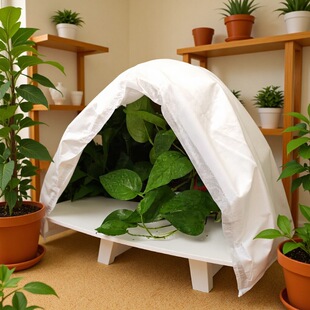 Cross-Border Amazon Agricultural Gardening Non-Woven Plant Cover Plant Winter Anti-Freeze and Cold-Proof Warm Covering Cloth Wholesale