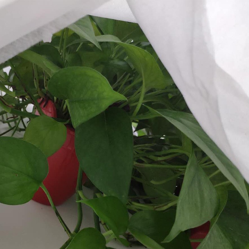 Cross-Border Amazon Agricultural Gardening Non-Woven Plant Cover Plant Winter Anti-Freeze and Cold-Proof Warm Covering Cloth Wholesale