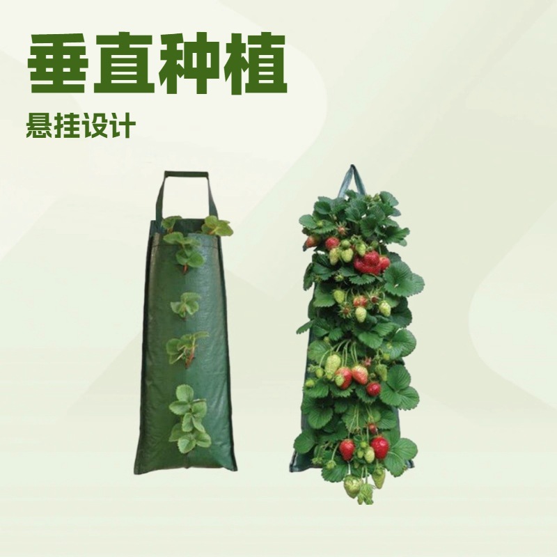 Manufacturer Supplies Creative 4/6/10-Port Hanging Pe Strawberry Bags, Vanilla Tree Planting Bags, Gardening Planting Bags Wholesale
