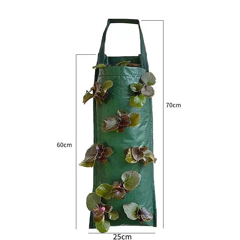 Manufacturer Supplies Creative 4/6/10-Port Hanging Pe Strawberry Bags, Vanilla Tree Planting Bags, Gardening Planting Bags Wholesale