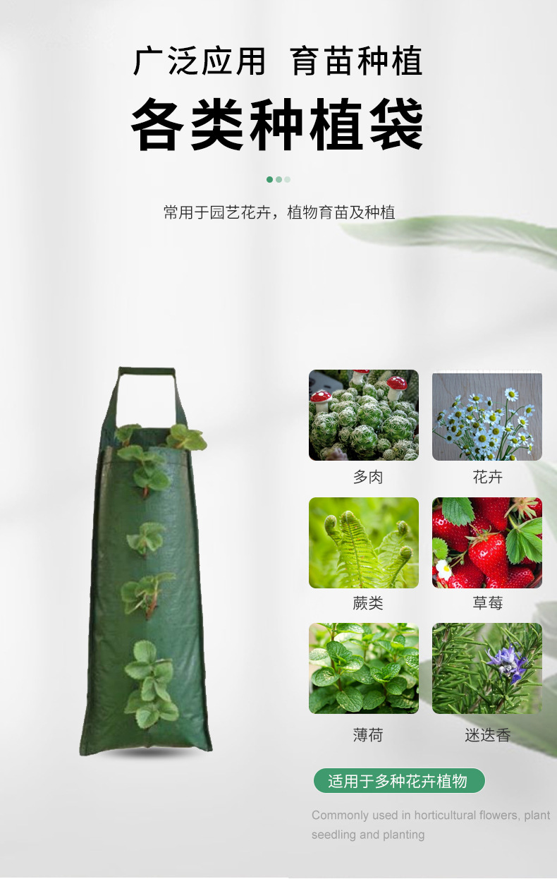 Manufacturer Supplies Creative 4/6/10-Port Hanging Pe Strawberry Bags, Vanilla Tree Planting Bags, Gardening Planting Bags Wholesale