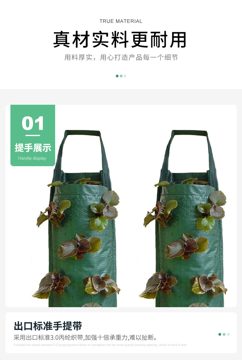 Manufacturer Supplies Creative 4/6/10-Port Hanging Pe Strawberry Bags, Vanilla Tree Planting Bags, Gardening Planting Bags Wholesale