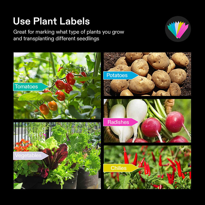 Cross-Border New Gray Planting Bag Non-Woven Flower Pot with Handle Garden Balcony Potato Tomato Vegetable Planting Bag