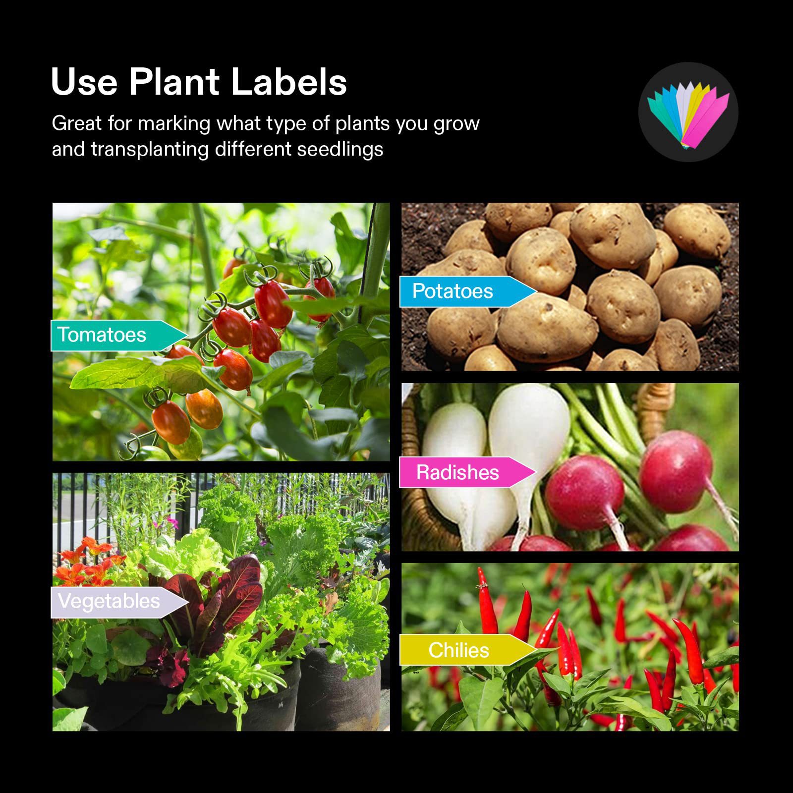 Cross-Border New Gray Planting Bag Non-Woven Flower Pot with Handle Garden Balcony Potato Tomato Vegetable Planting Bag