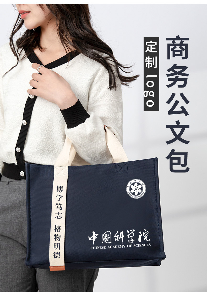 Oxford Canvas Bag Canvas Bag for Women 2025 Promotional Event Cross-Body Tote Bag Satchel Spring Festival Style